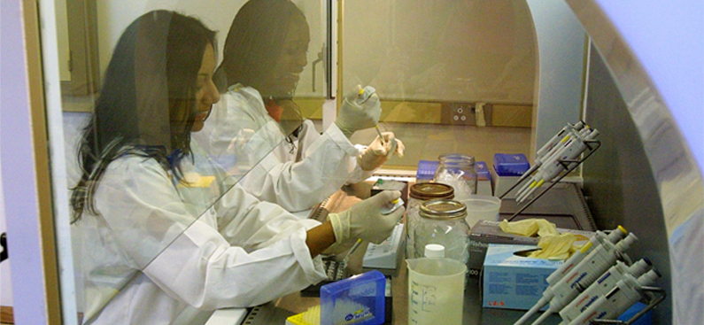 blotting hybridization techniques african veterinary information blotting techniques