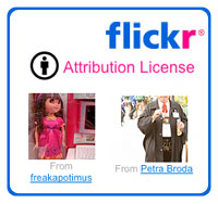 Flickr icon